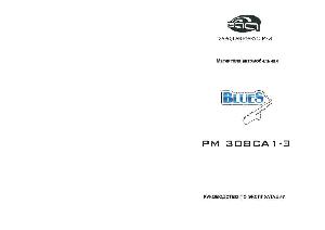 Инструкция BLUES PM-308CA-1E  ― Manual-Shop.ru