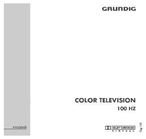 Инструкция Grundig 100 Hz  ― Manual-Shop.ru