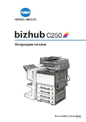 User manual Konica-Minolta bizhub C250 (Print)  ― Manual-Shop.ru