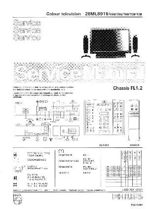 Сервисная инструкция Philips FL1.2 AA chassis ― Manual-Shop.ru