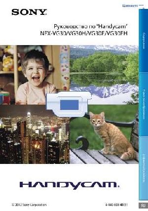 Инструкция Sony NEX-VG30EH (handycam)  ― Manual-Shop.ru